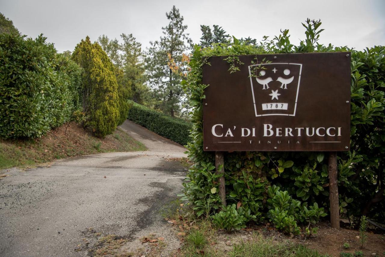 Tenuta Ca Di Bertucci Apartment Solignano ภายนอก รูปภาพ