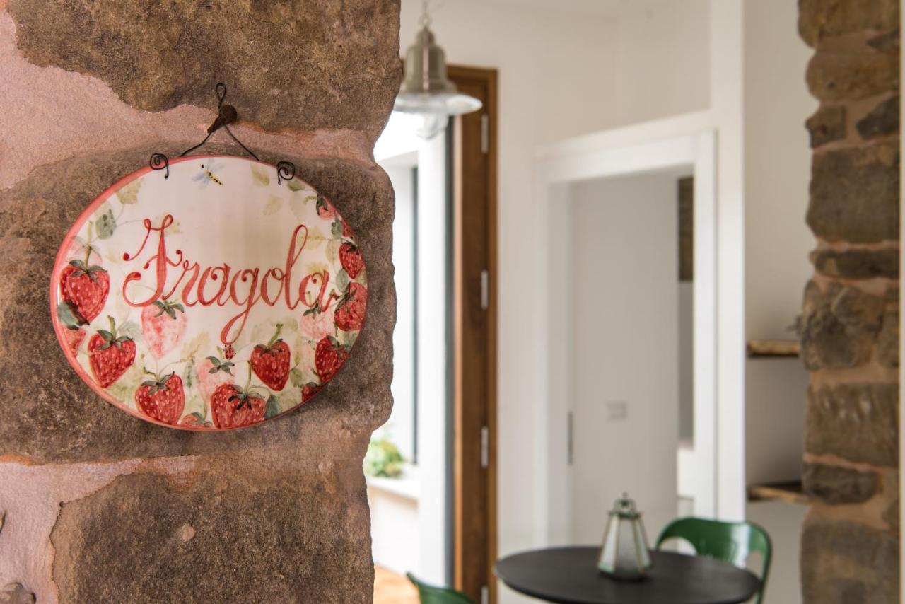 Tenuta Ca Di Bertucci Apartment Solignano ภายนอก รูปภาพ