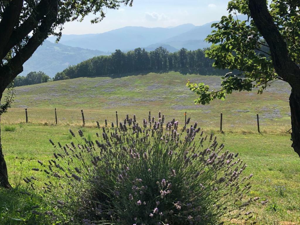 Tenuta Ca Di Bertucci Apartment Solignano ภายนอก รูปภาพ