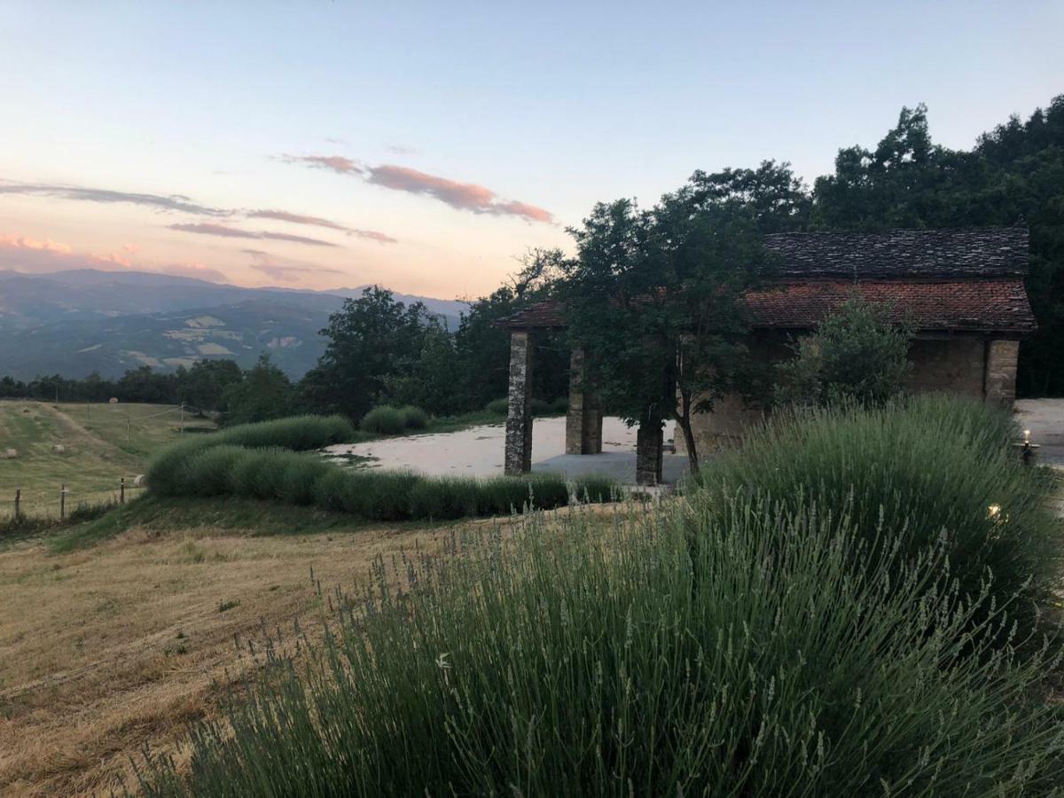 Tenuta Ca Di Bertucci Apartment Solignano ภายนอก รูปภาพ